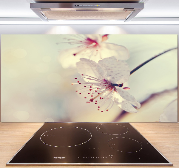 Cooker splashback Cherry Blossom