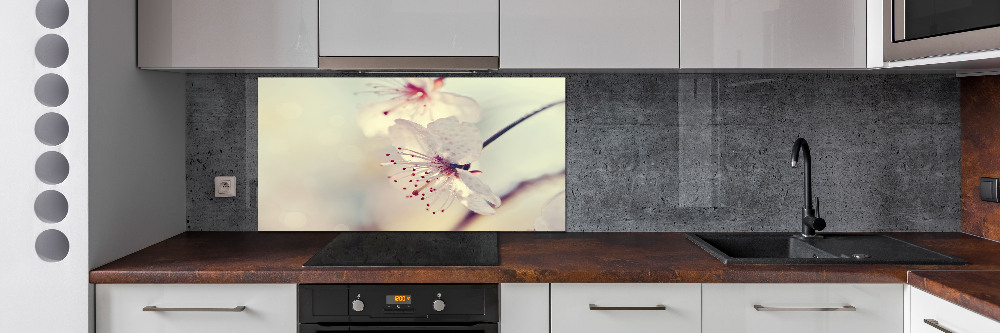 Cooker splashback Cherry Blossom