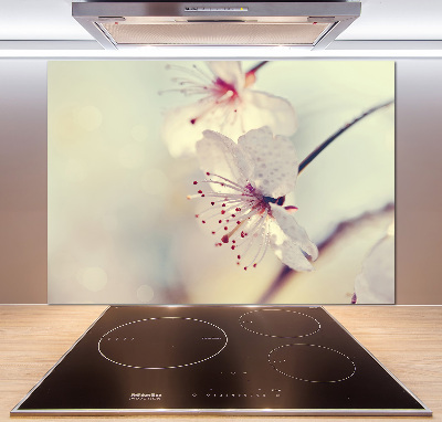 Cooker splashback Cherry Blossom