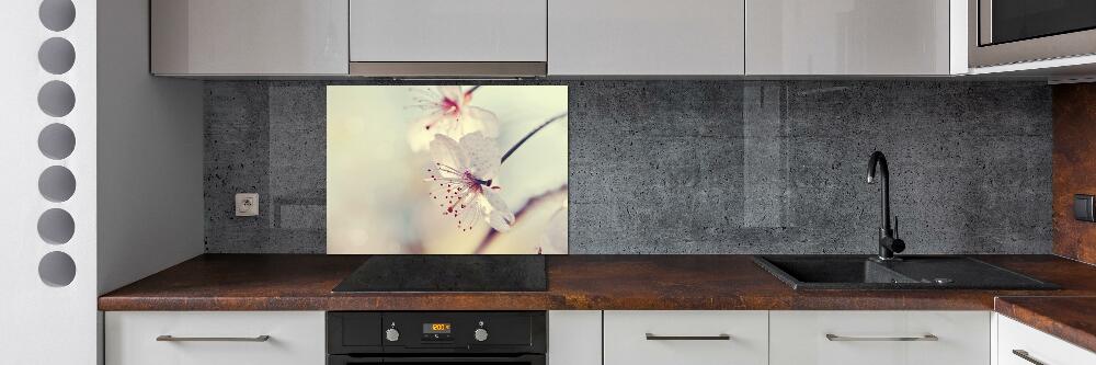 Cooker splashback Cherry Blossom