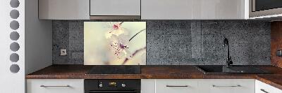 Cooker splashback Cherry Blossom