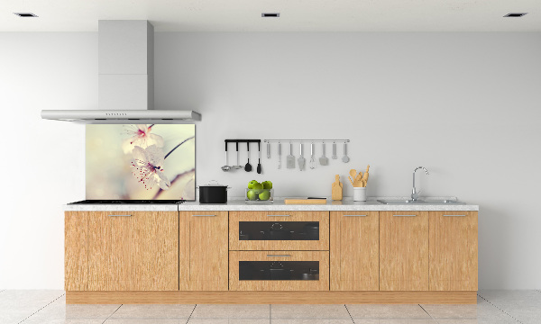 Cooker splashback Cherry Blossom