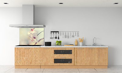 Cooker splashback Cherry Blossom