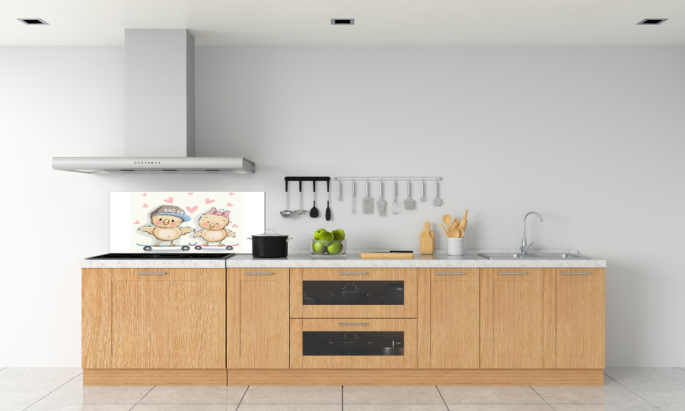 Splashback panel for kitchen Birds on skateboard