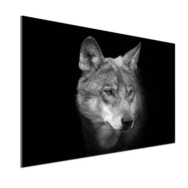 Cooker splashback Wolf