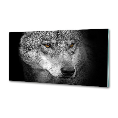 Cooker splashback Wolf