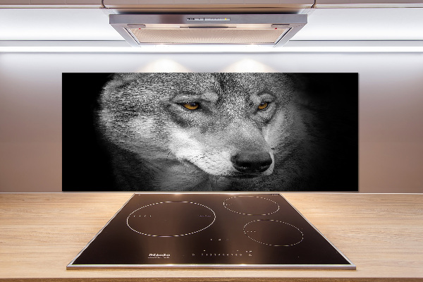 Cooker splashback Wolf