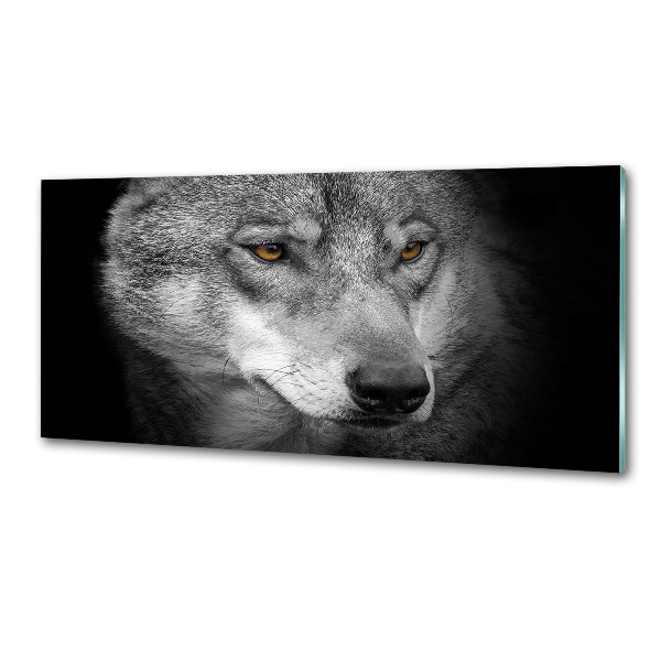 Cooker splashback Wolf