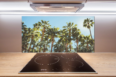 Cooker splashback High palm trees