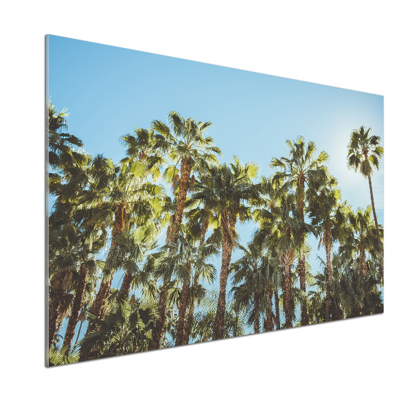 Cooker splashback High palm trees