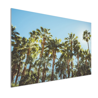 Cooker splashback High palm trees