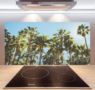 Cooker splashback High palm trees