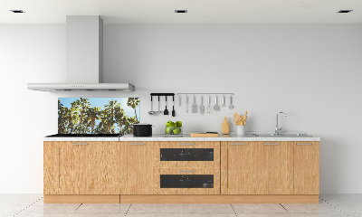 Cooker splashback High palm trees