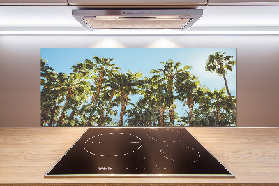 Cooker splashback High palm trees