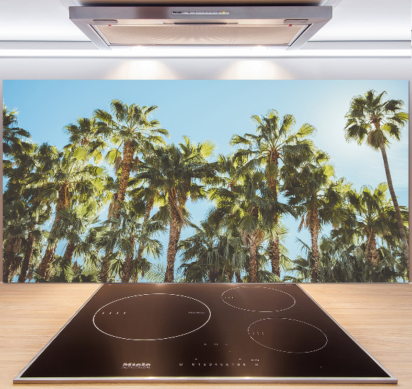 Cooker splashback High palm trees