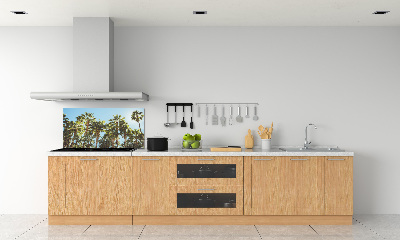 Cooker splashback High palm trees