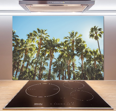 Cooker splashback High palm trees