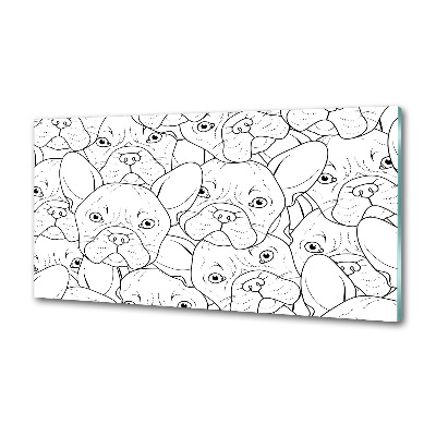 Glass splashback French Bulldogs