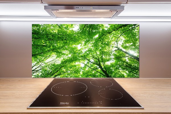 Cooker splashback Green Forest