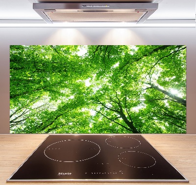 Cooker splashback Green Forest