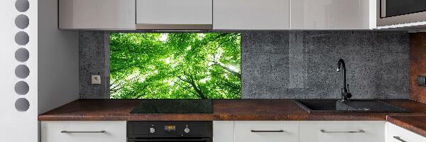 Cooker splashback Green Forest