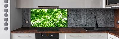 Cooker splashback Green Forest