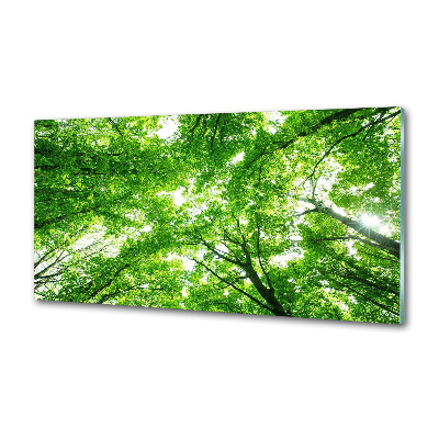 Cooker splashback Green Forest