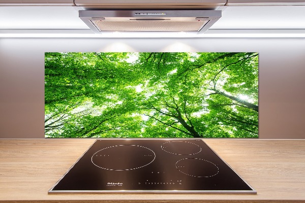 Cooker splashback Green Forest