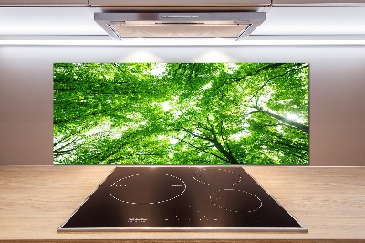 Cooker splashback Green Forest