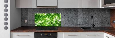 Cooker splashback Green Forest