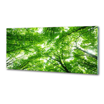 Cooker splashback Green Forest