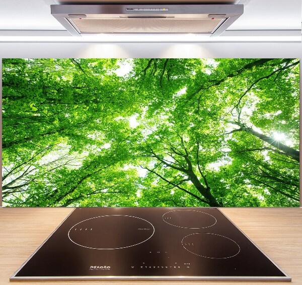 Cooker splashback Green Forest