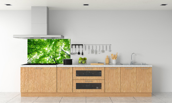 Cooker splashback Green Forest