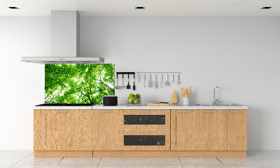 Cooker splashback Green Forest