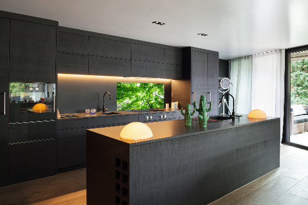 Cooker splashback Green Forest