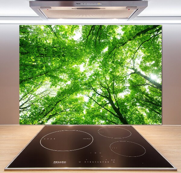 Cooker splashback Green Forest