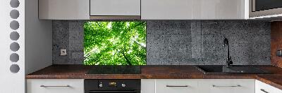 Cooker splashback Green Forest