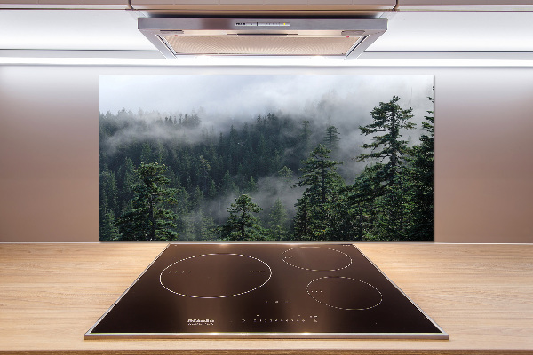 Cooker splashback Forest fog