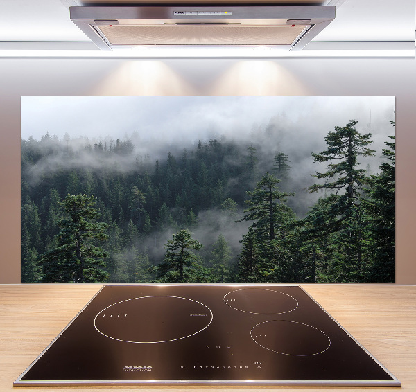 Cooker splashback Forest fog