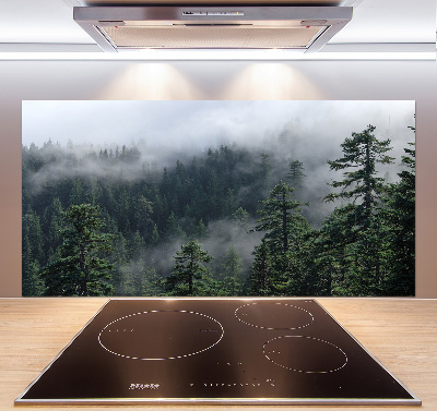 Cooker splashback Forest fog