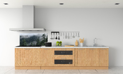 Cooker splashback Forest fog