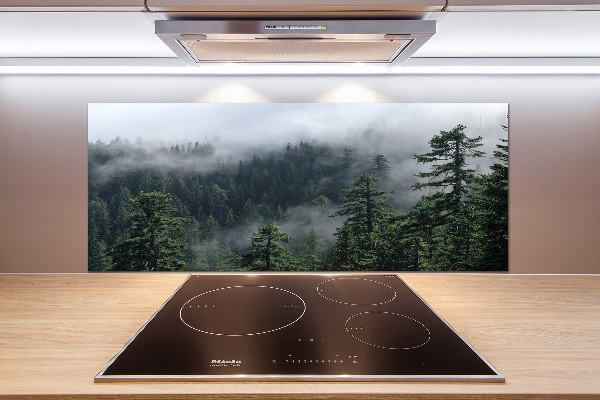 Cooker splashback Forest fog