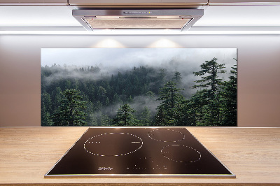 Cooker splashback Forest fog