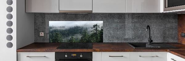 Cooker splashback Forest fog