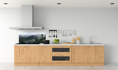 Cooker splashback Forest fog