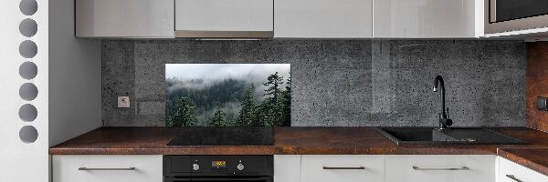 Cooker splashback Forest fog