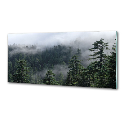 Cooker splashback Forest fog