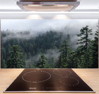 Cooker splashback Forest fog