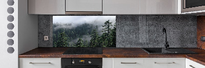 Cooker splashback Forest fog