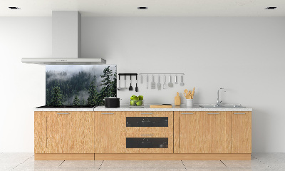 Cooker splashback Forest fog